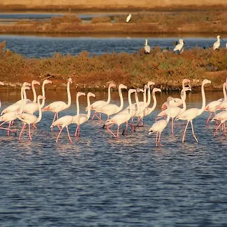 Casa Romas 度假居 *