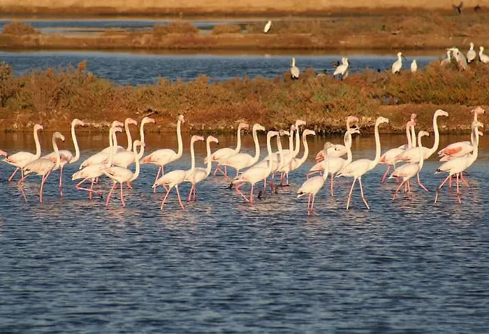 Casa Romas Dom wakacyjny *