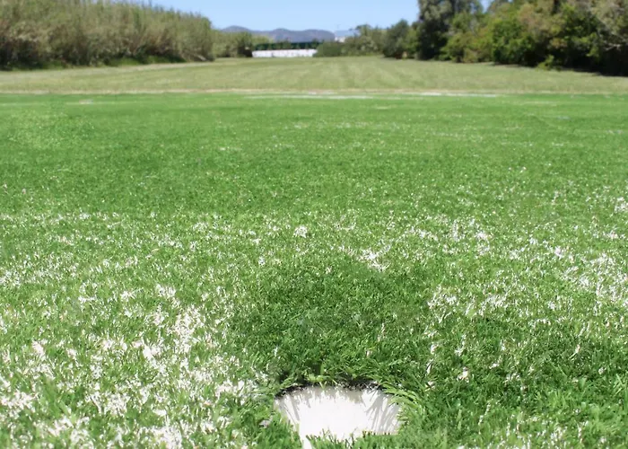 Dom wakacyjny Casa Romas